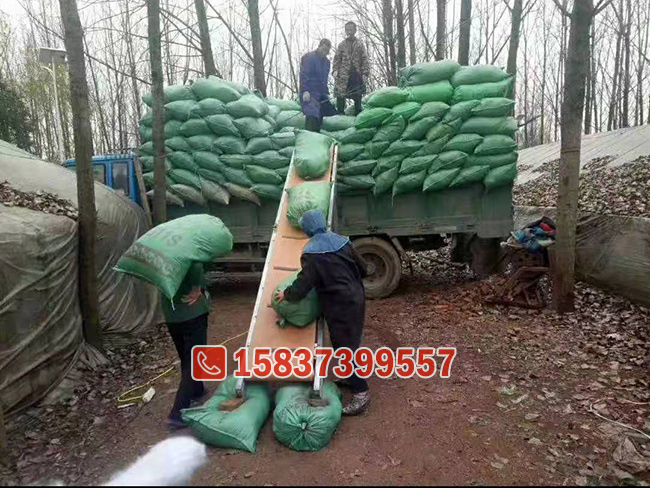 220伏小型折叠输送机